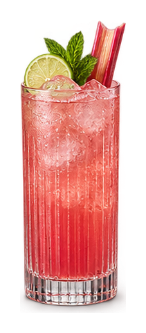 Styled drink cutout: Rhubarb & Ginger Cooler
